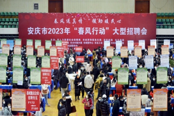 东风送真情  增援暖民气---安徽微扑克俱乐部集团参与全市招聘会系列活动