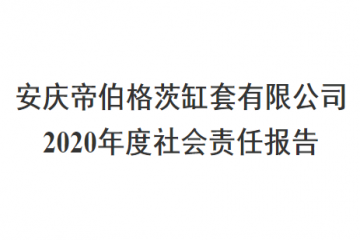 娄底帝伯格茨缸套有限公司 2020年度社会责任汇报