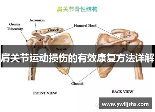 肩关节运动损伤的有效康复方法详解