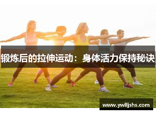 锻炼后的拉伸运动：身体活力保持秘诀